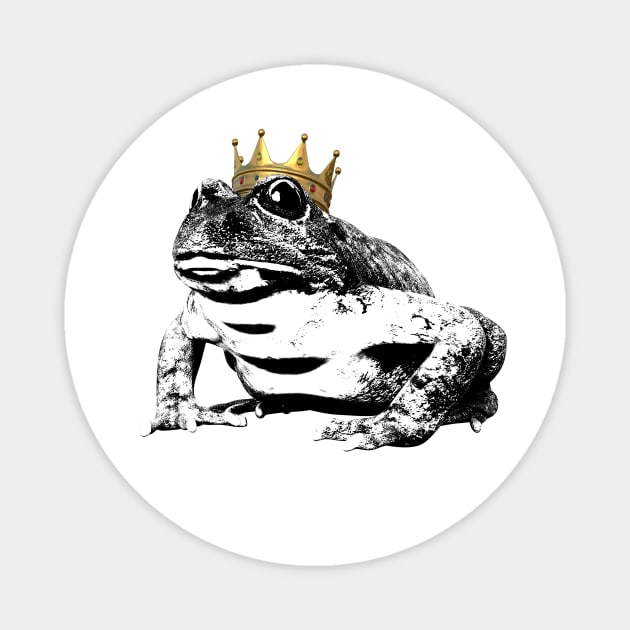 Princess Frog Magnet by Tarasevi4